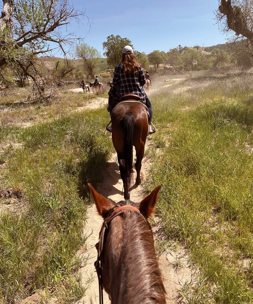 Cali tasting HORSE V