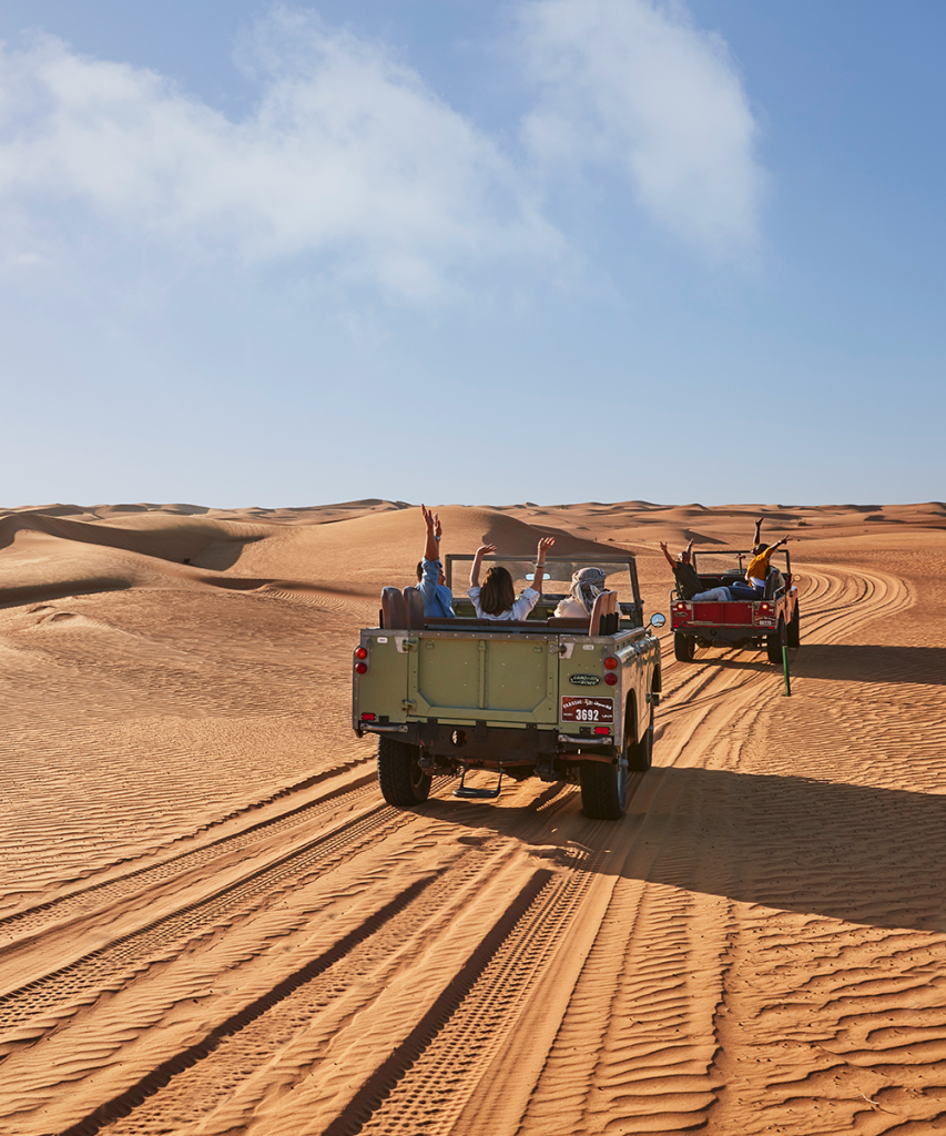Middle east desert V