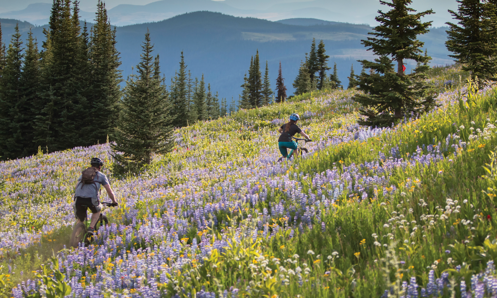 SF 48hr Sunpeaks meadow