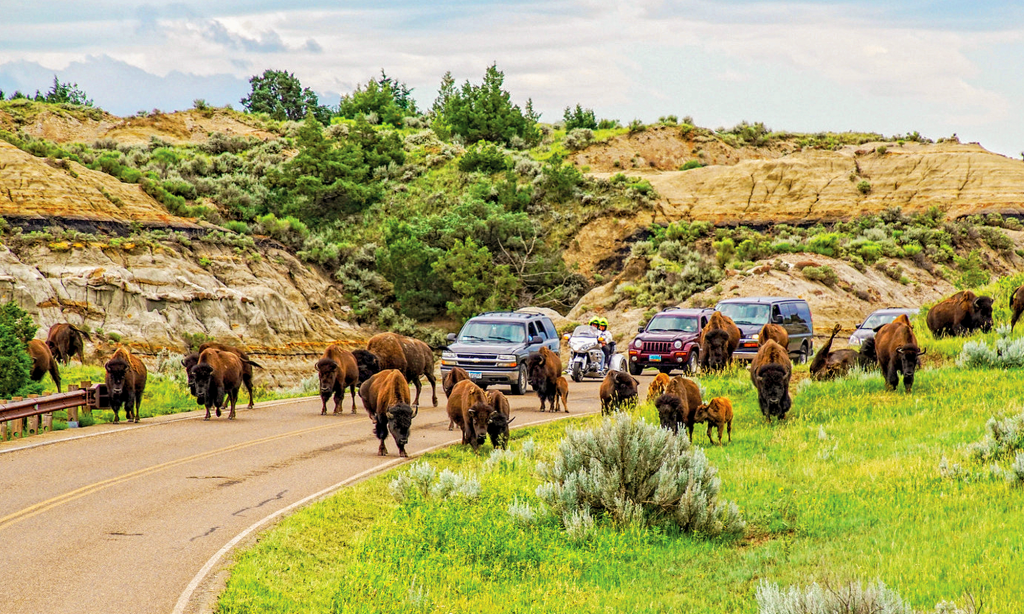 northdakota2