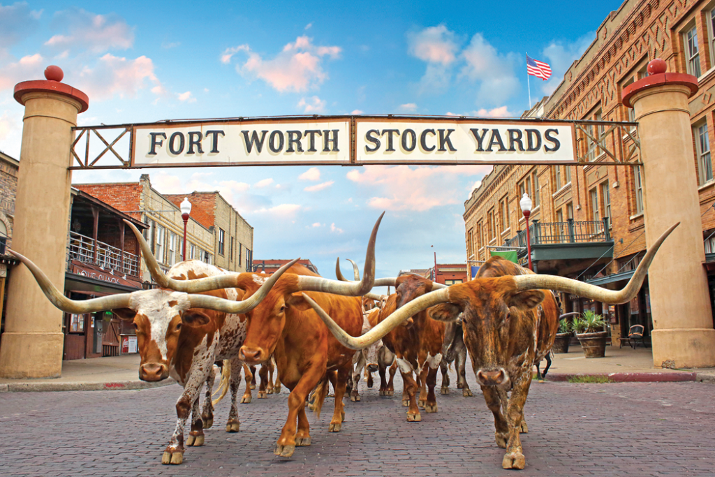 Fort worth inset
