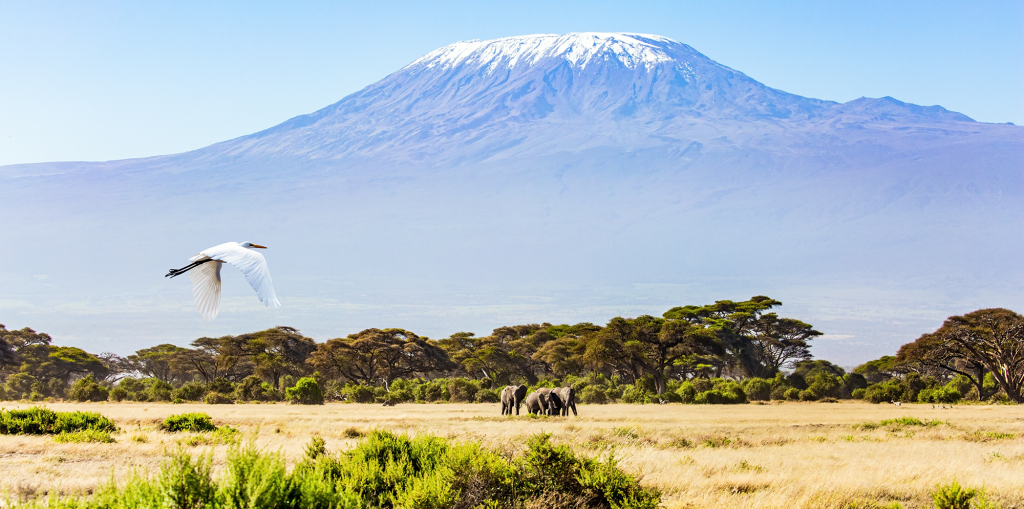Mount Kilimanjaro Africa2