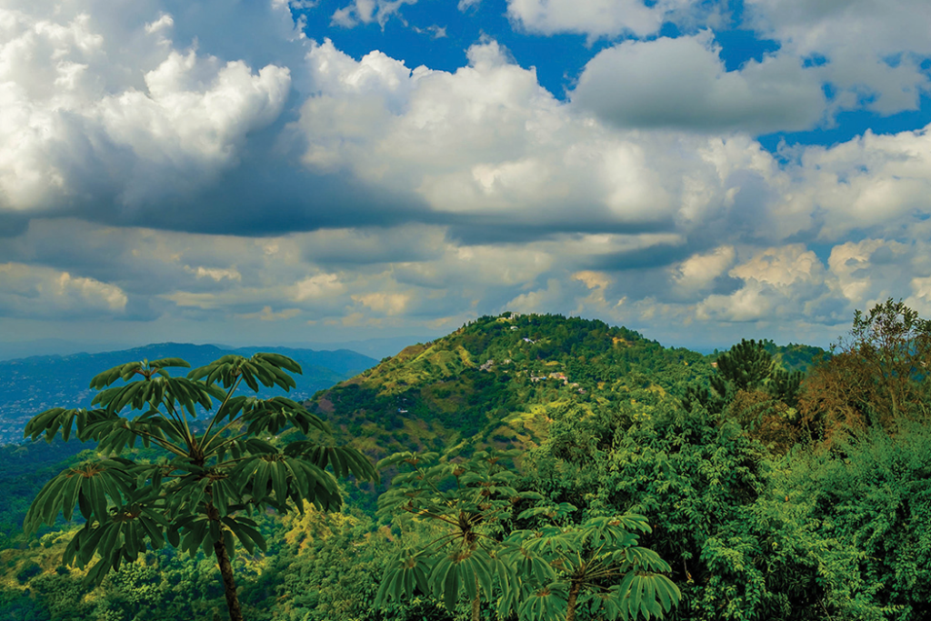 Hidden Jamaica