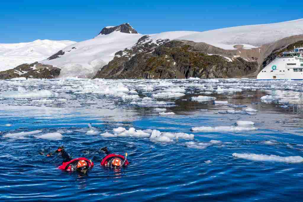 Travel Talk: Expedition Cruise Network 3 Snorkelling Antarctica Marcus Westberg