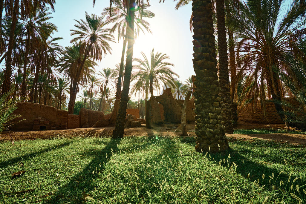Oasis Heritage Trail 2