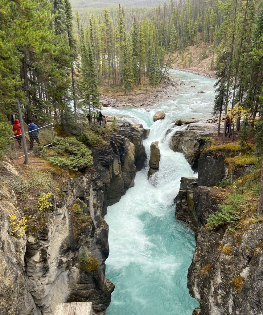 location sunwapta