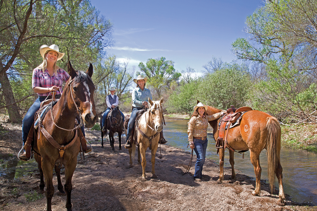 Arizona horses