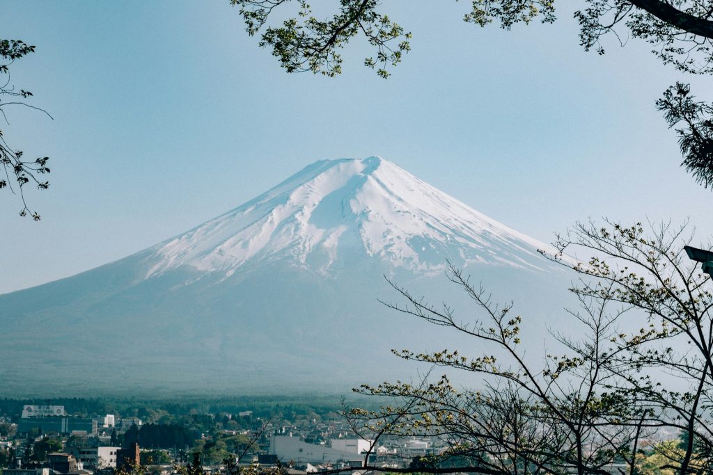 filiz elaerts J C3 JpJMms unsplash