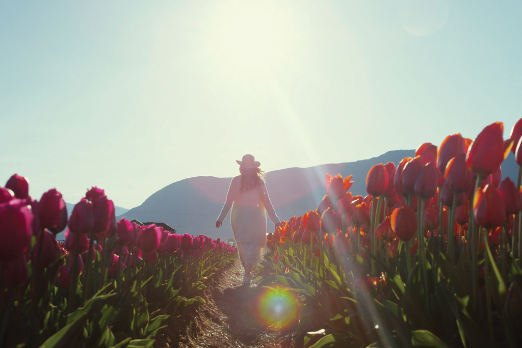 Vancouver tulip