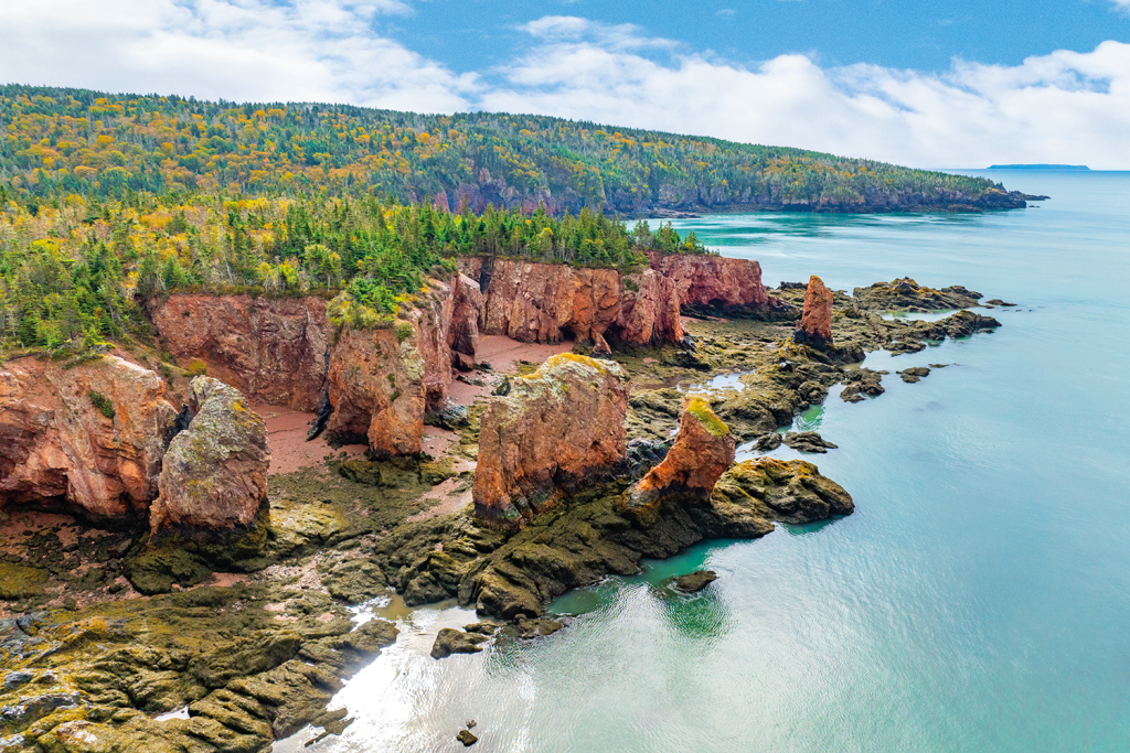 Iconic fundy