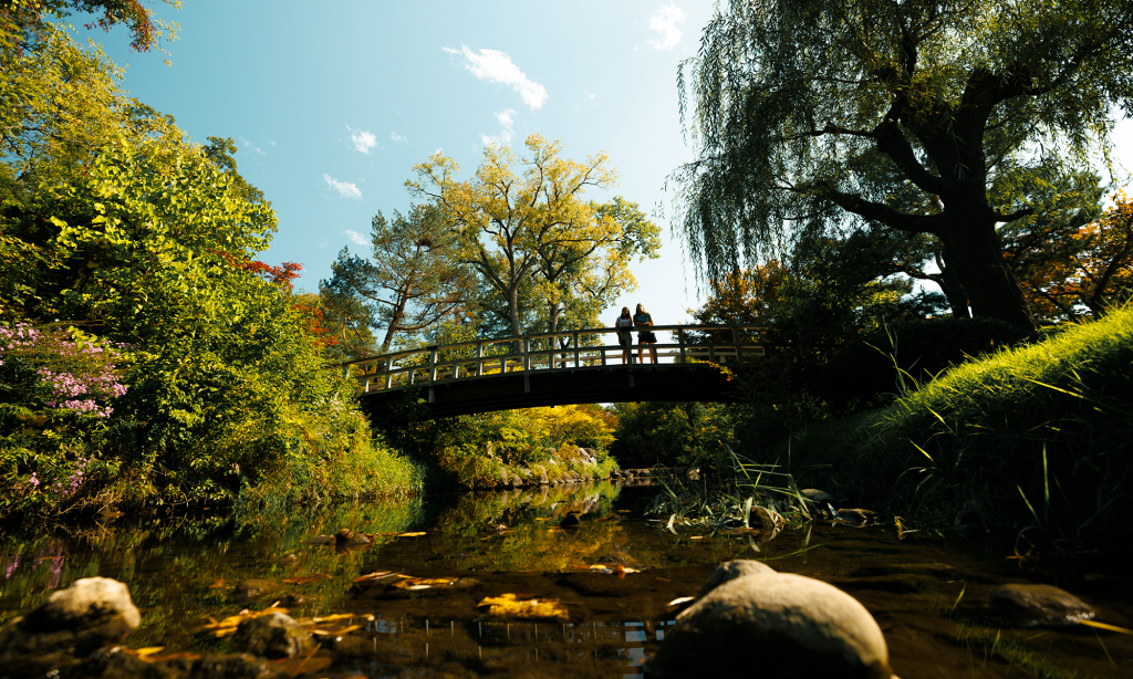 ILLINOIS parks