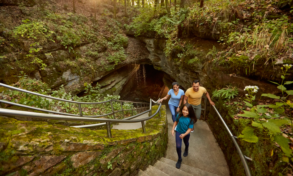 Visit USA members sign on to engage with agents 3 VUSA cave