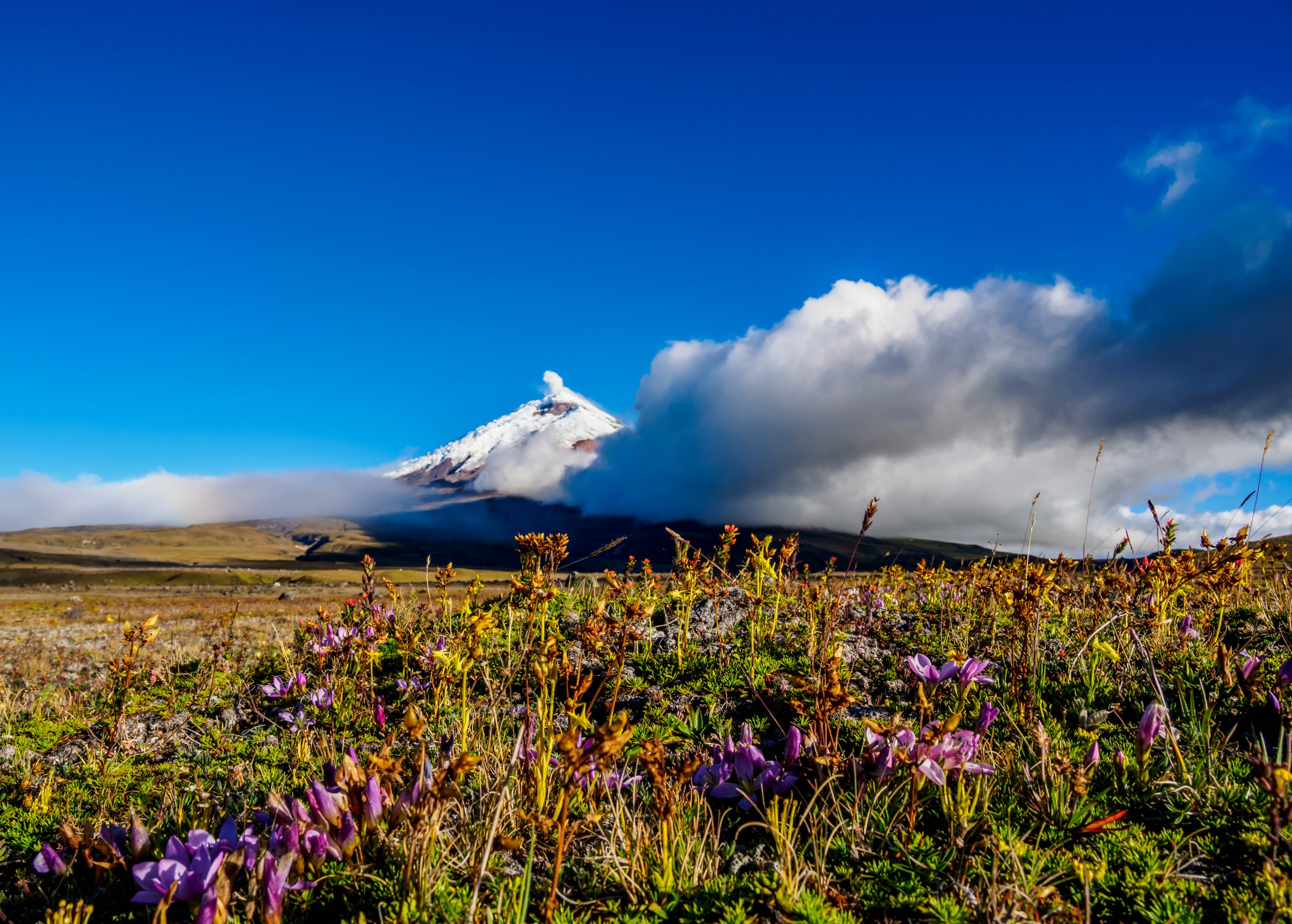 Mercury Holidays streamlines booking platform 1 Cotopaxi Volcano Ecuador scaled
