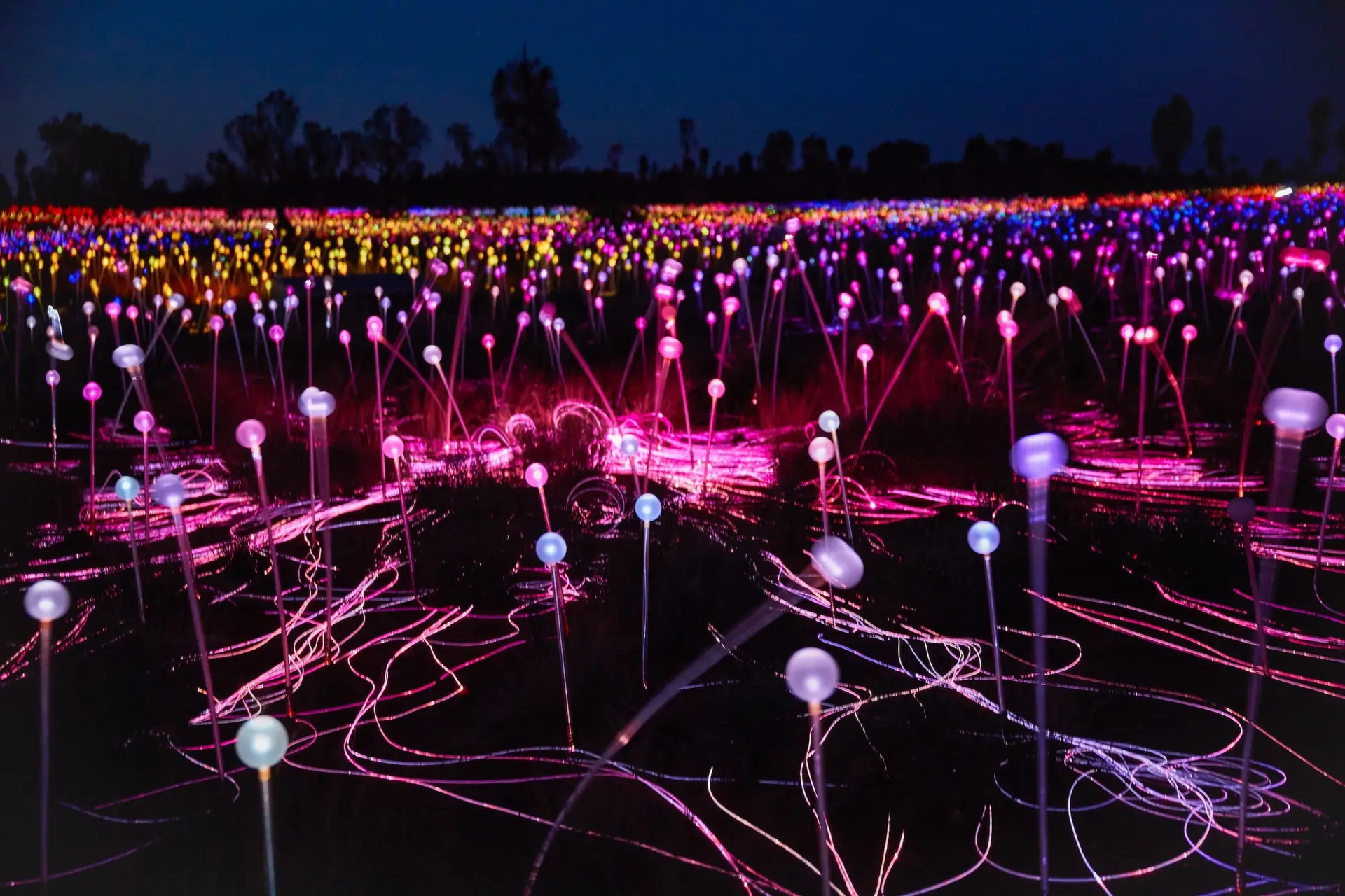 AAT Kings sees the light at Uluru's Field of Light 1 Field of Light 0020 scaled