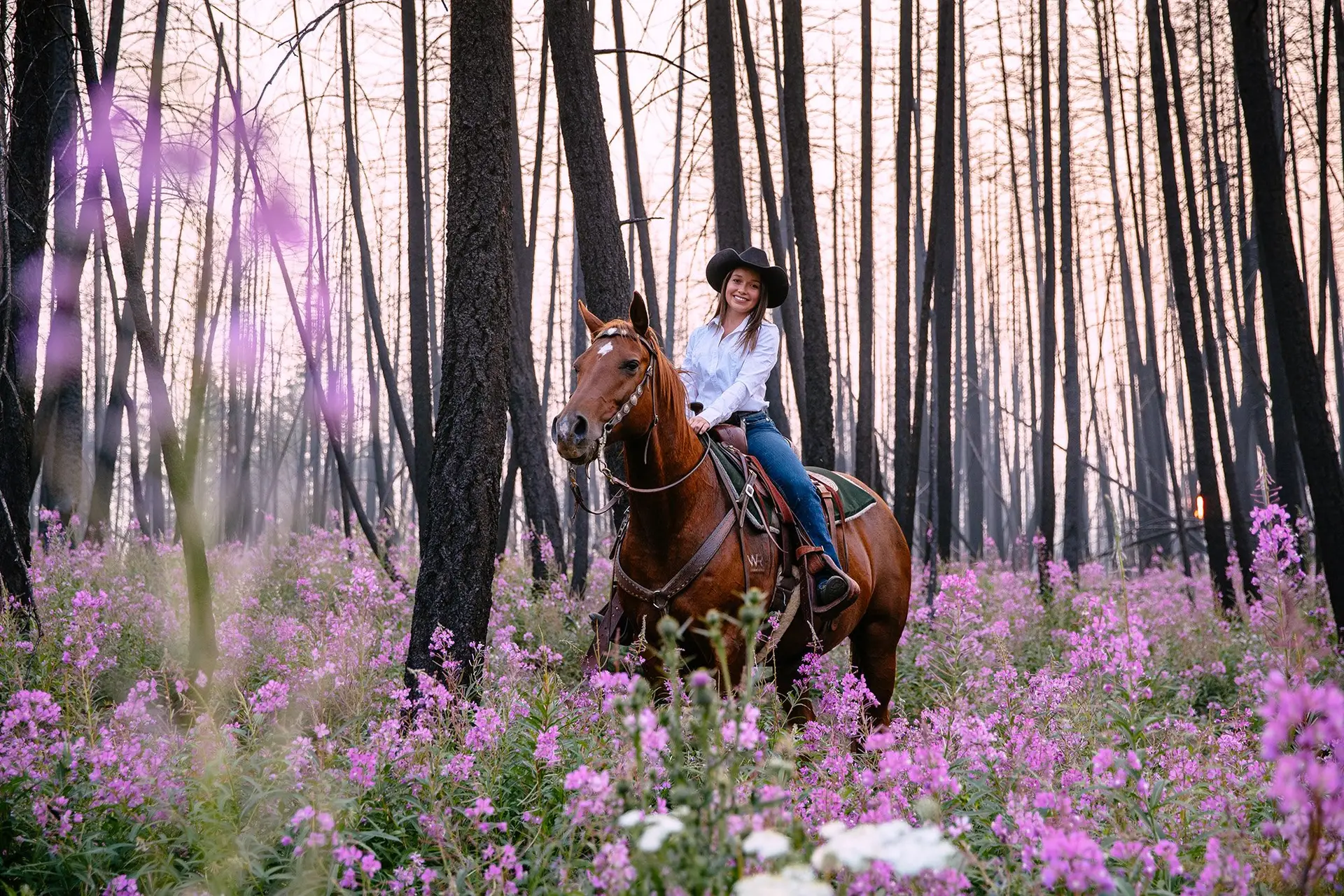 Year of the Horse: Riding holidays that offer an “emotional reset” 7 Post wildfire beauty