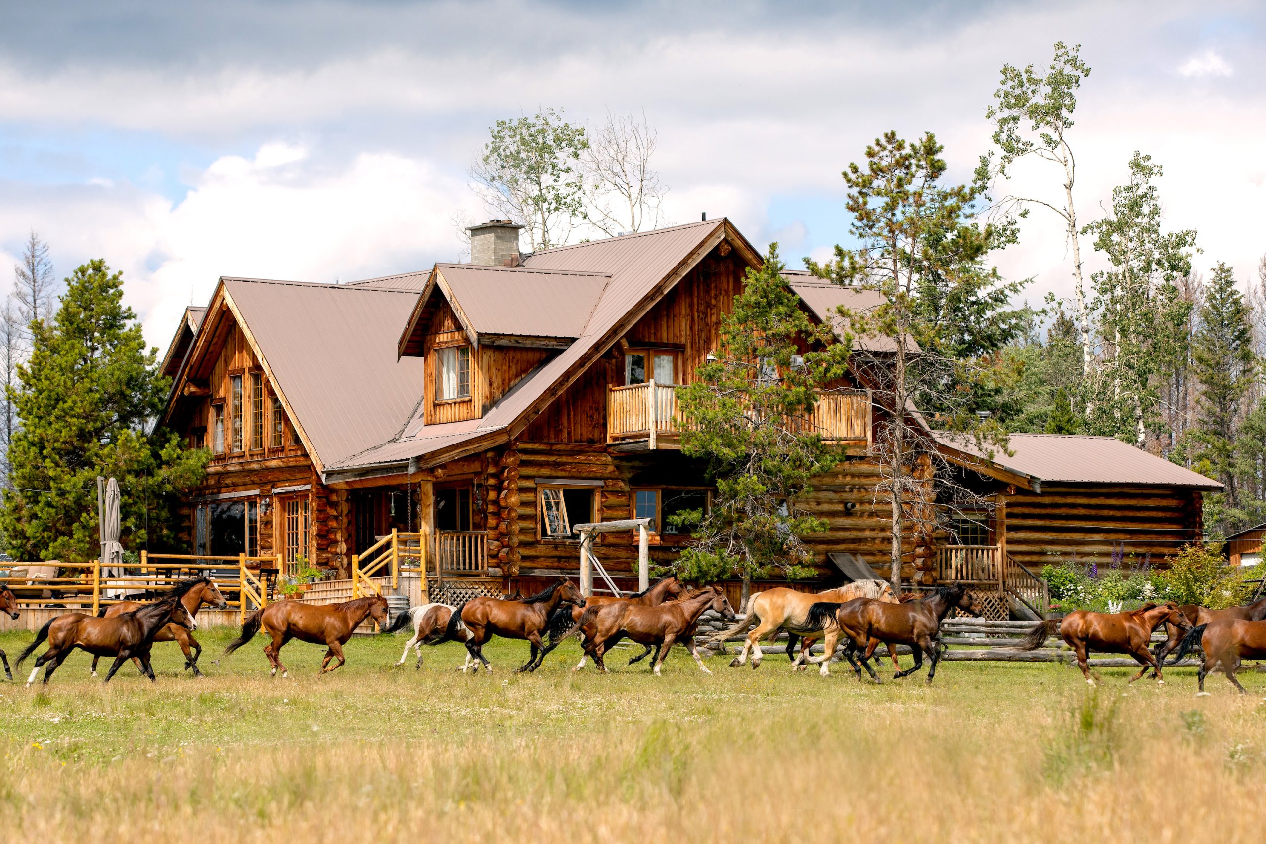 Year of the Horse: Riding holidays that offer an “emotional reset” 1 SLWR 1a Lodge 1 1 scaled