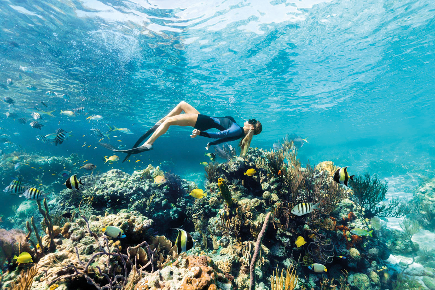 Holistic Caribbean wellness for mind, body and soul 11 CARIBBEAN SCUBA