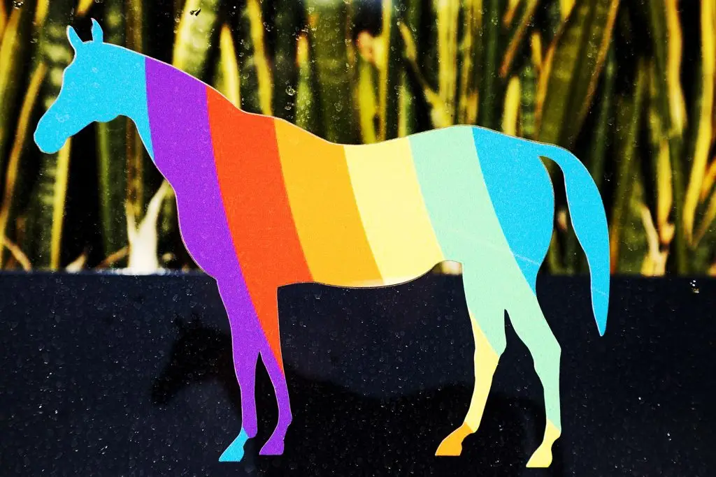 Rainbow horse sticker in Lexington, Kentucky.