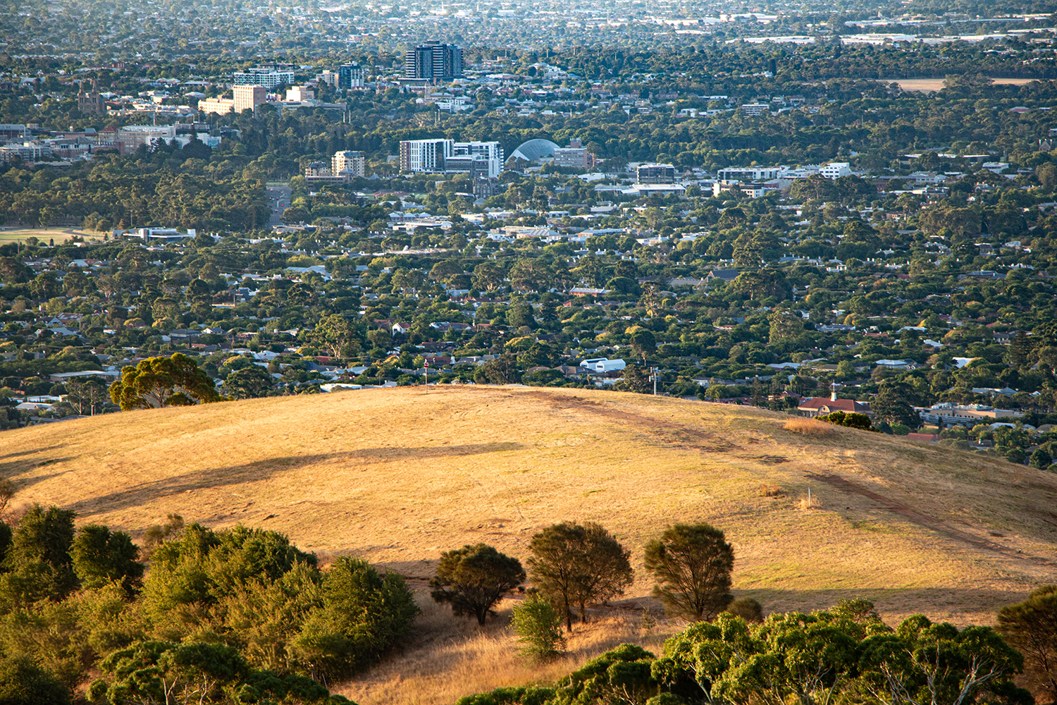 Airline update: easyJet, Jet2 and more 5 Adelaide
