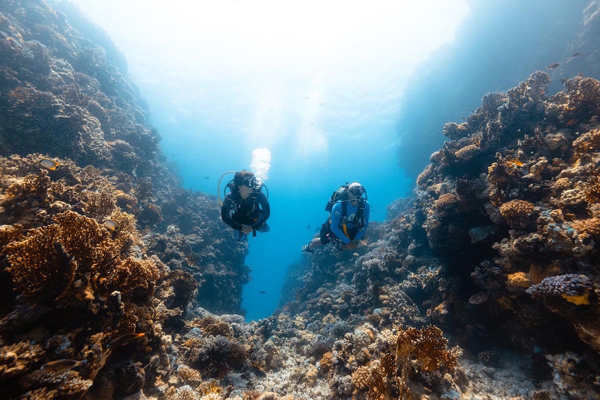 Airline update: easyJet, Jet2 and more 7 Diving in the Red Sea off the coast of Saudi Arabia.