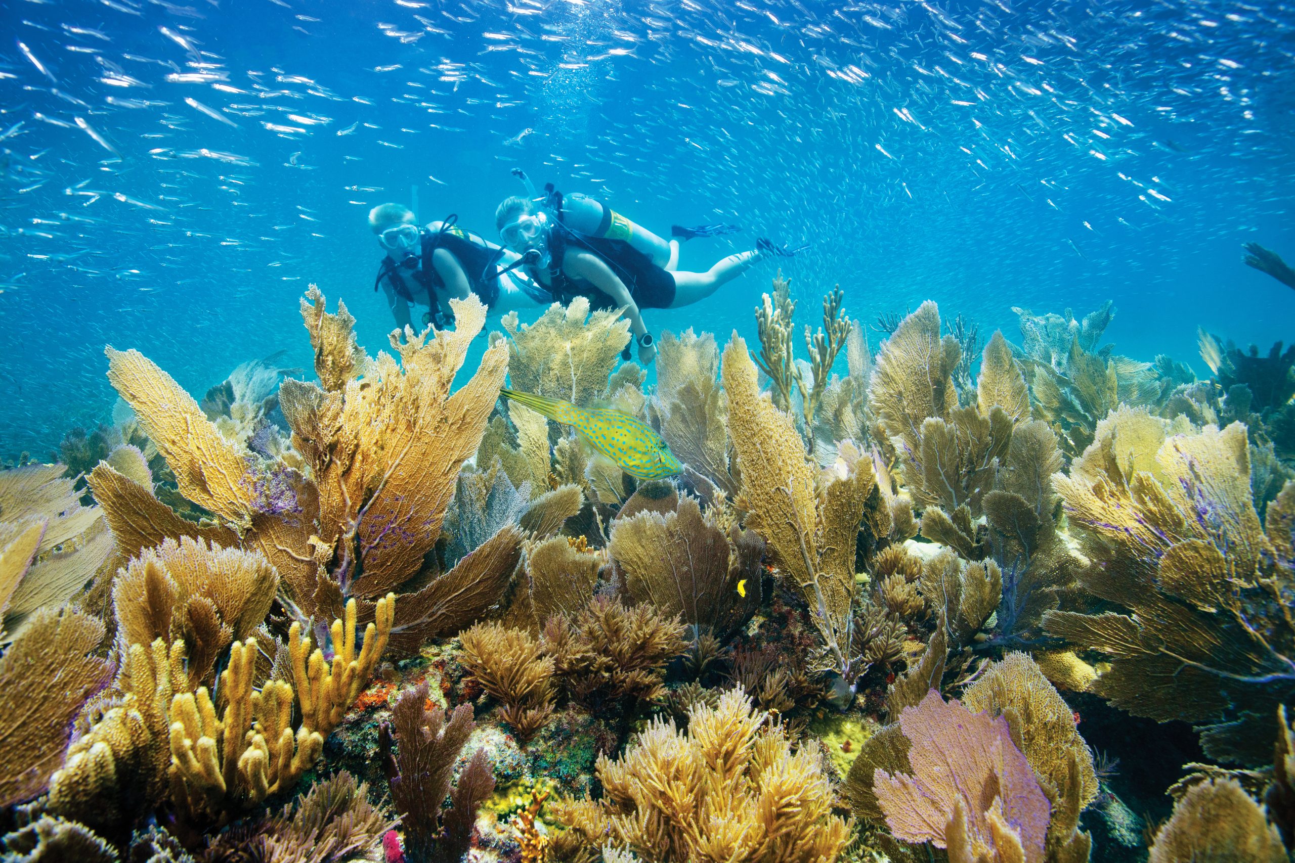 Big savings in the Florida Keys 1 KeysSeason03 scaled