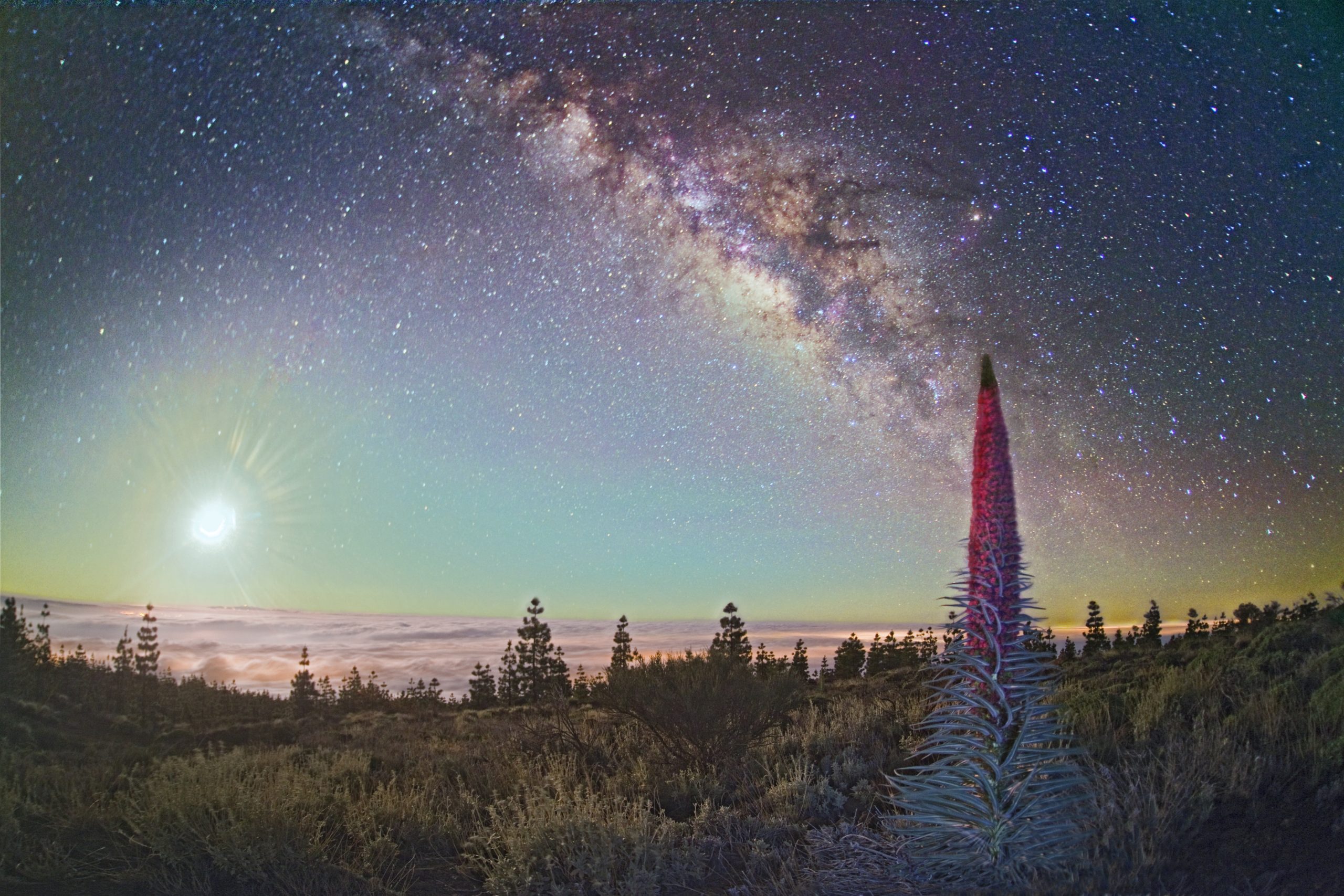 Observacion de estrellas tajinaste Parque nacional del Teide scaled