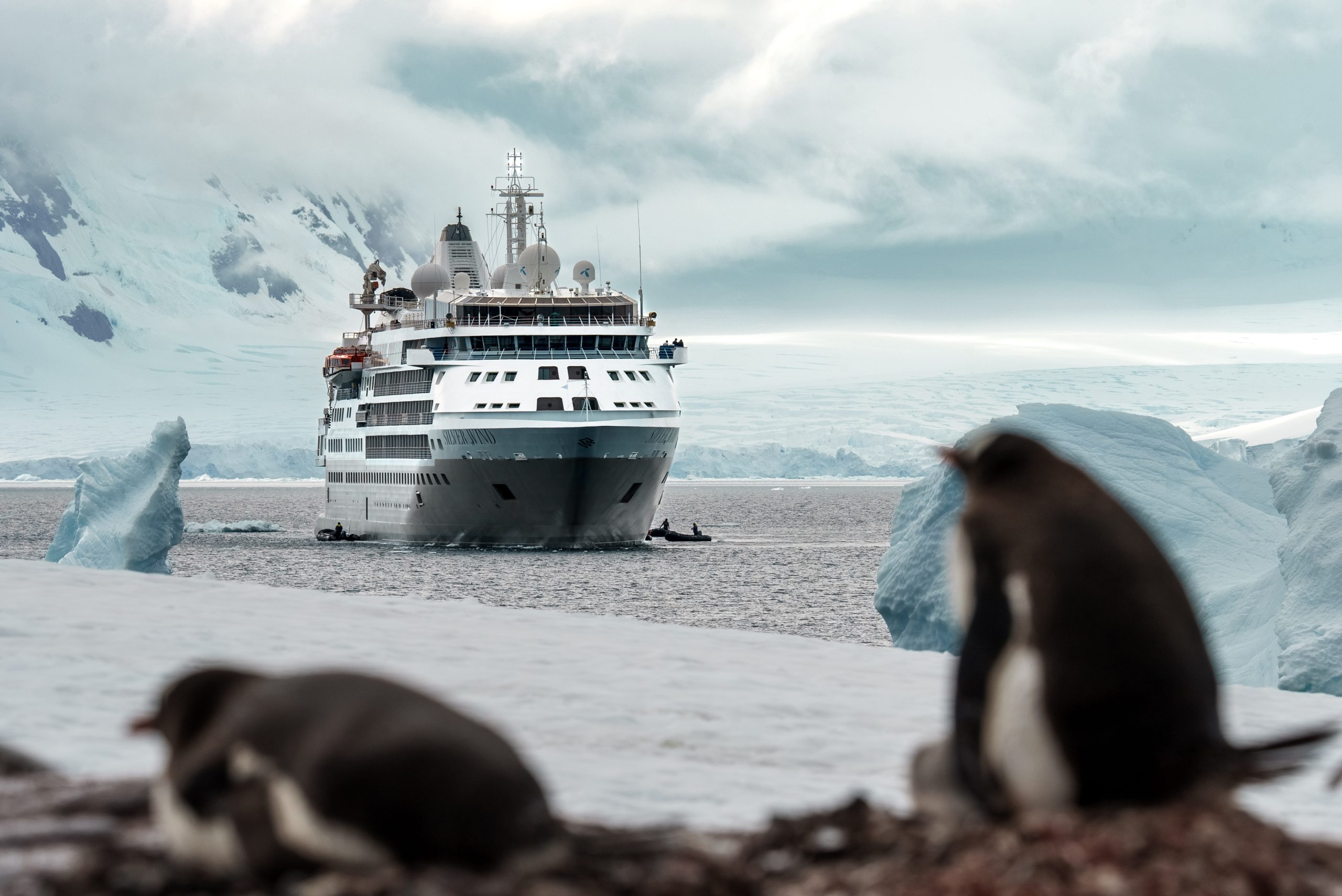 Silversea's "biggest-ever" expedition programme 1 SSC SW Antarctica 005 scaled