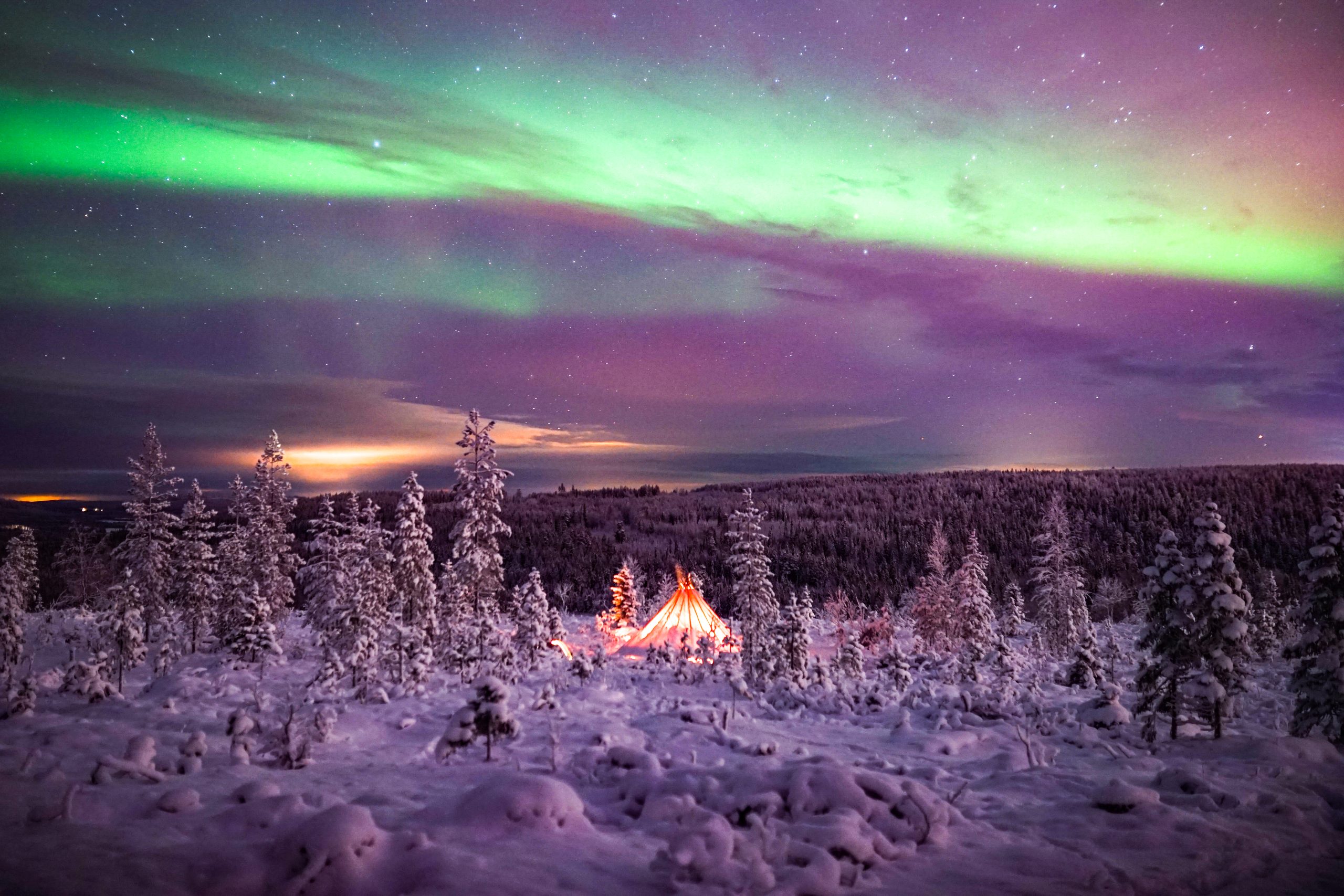 Regent Holidays' new Arctic Winter brochure 1 Northern Lights Wilderness Tour with Professional Camera 4 1 scaled