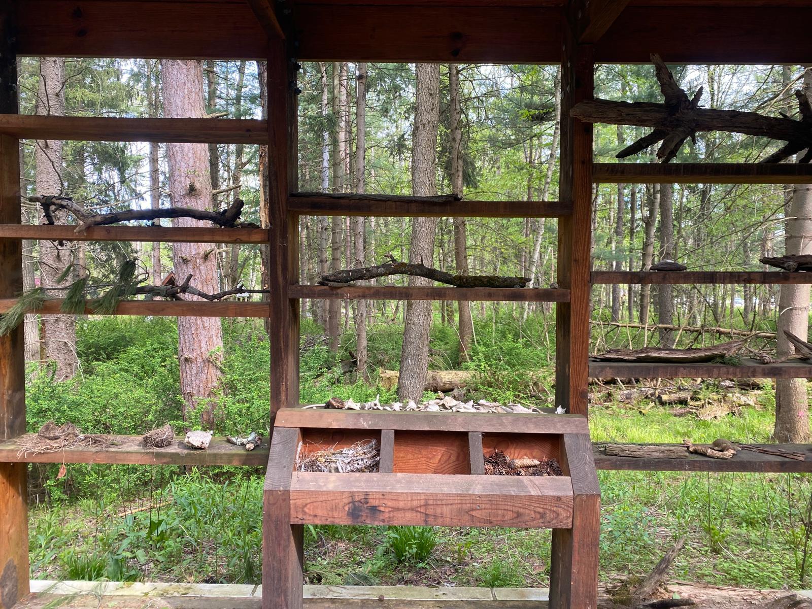 Review: New York State's Autism Nature Trail 3 WhatsApp Image 2026 08 04 at 15.03.50 1