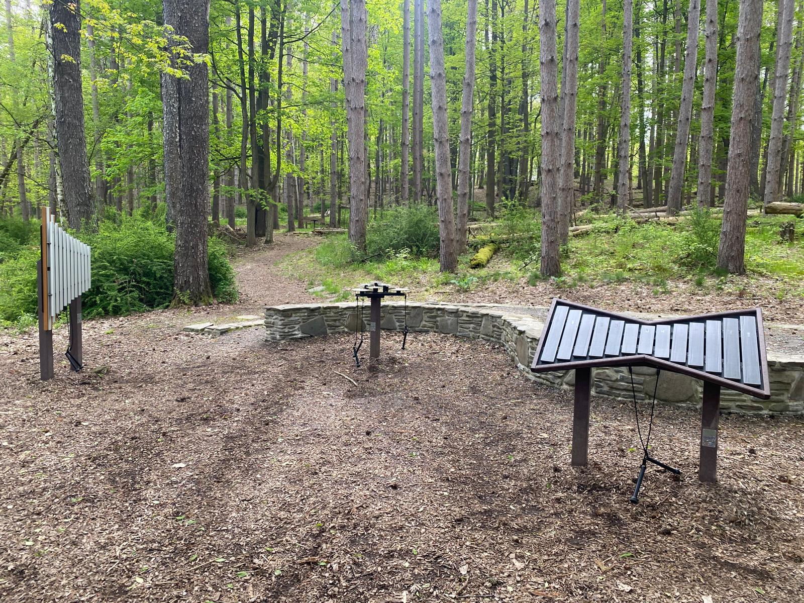 Review: New York State's Autism Nature Trail 1 WhatsApp Image 2026 08 04 at 15.03.50 2