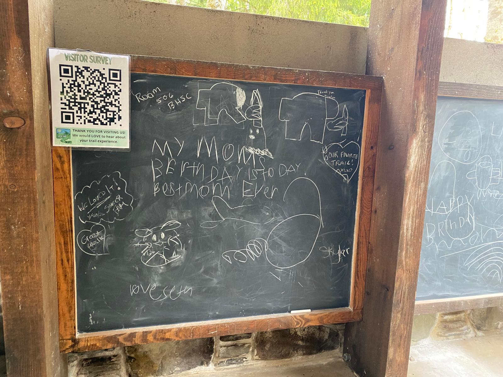 Review: New York State's Autism Nature Trail 5 WhatsApp Image 2026 08 04 at 15.03.50 4
