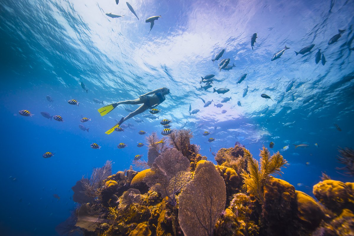 Win a Belize trip by completing new agent training 1 ©AlexandreSocci Belize 17 1841