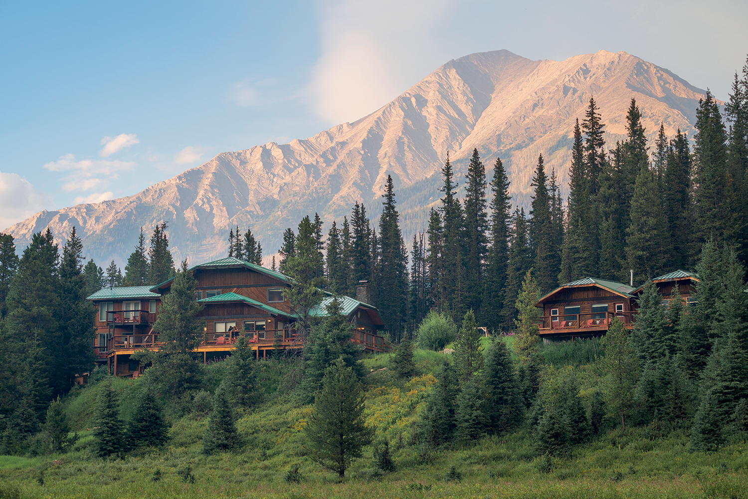 ALBERTA MOUNT