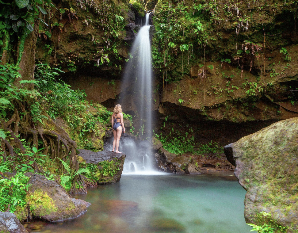 Dominica wants agents to fall for the Nature Island 8 Screenshot 2026 09 28 at 10.49.53