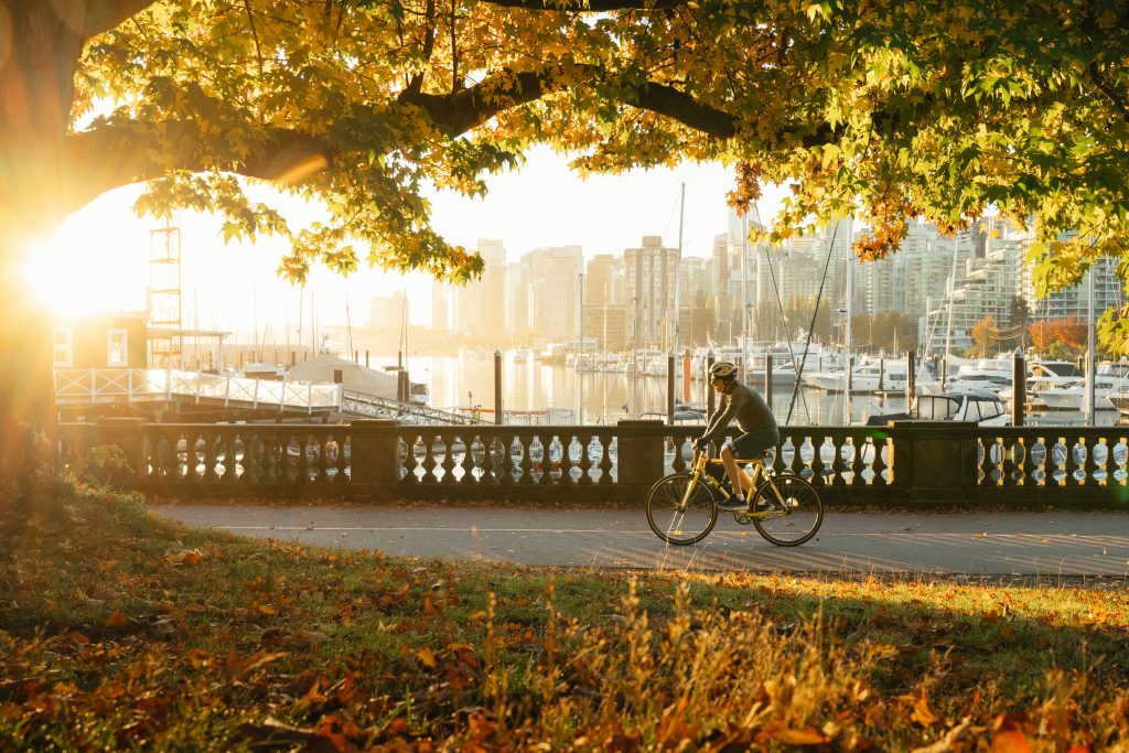 Seawall 2 VANCOUVER copy