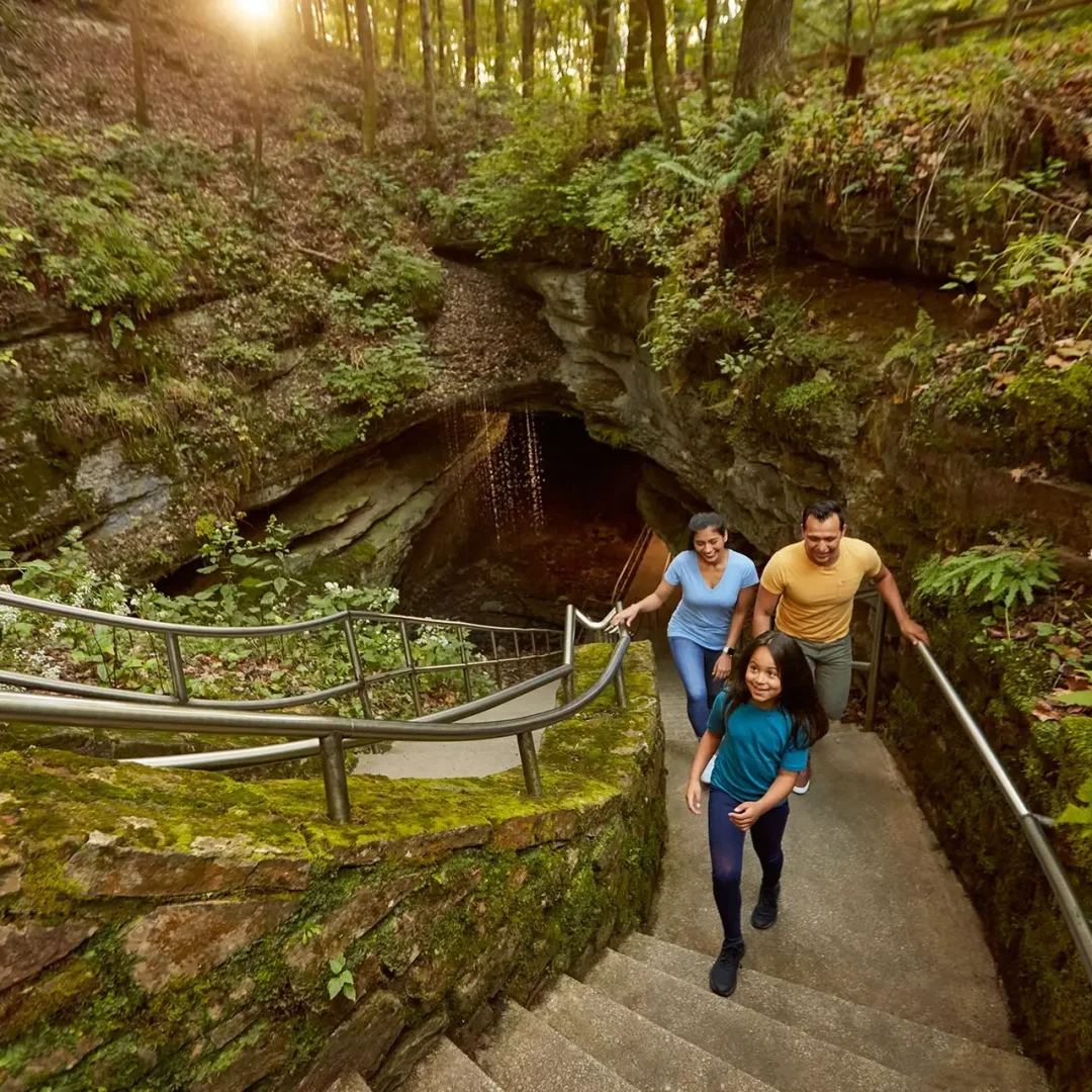 Cave Entrance