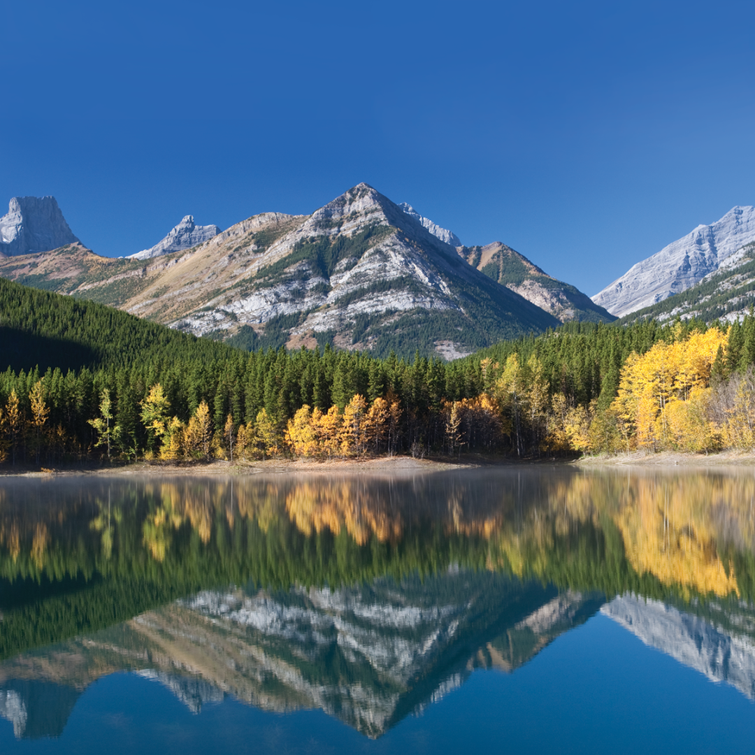 Alberta-main