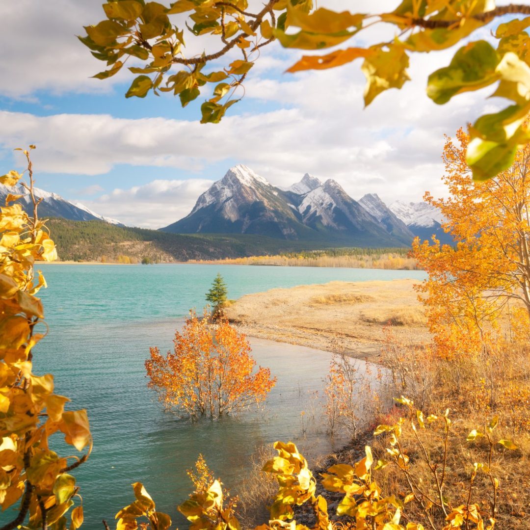 Autumn in Alberta