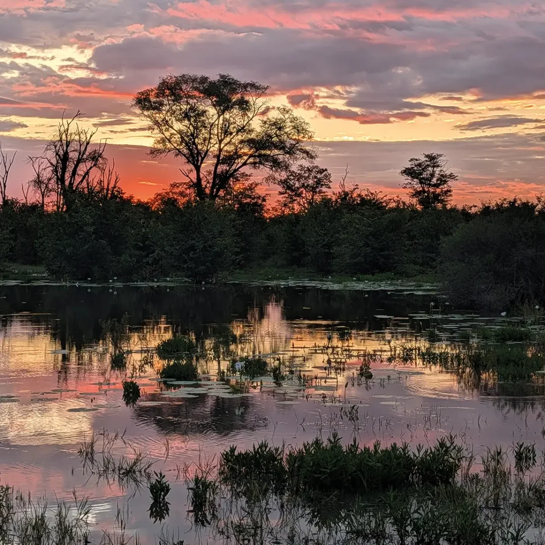 Sunrise over the Khwai River