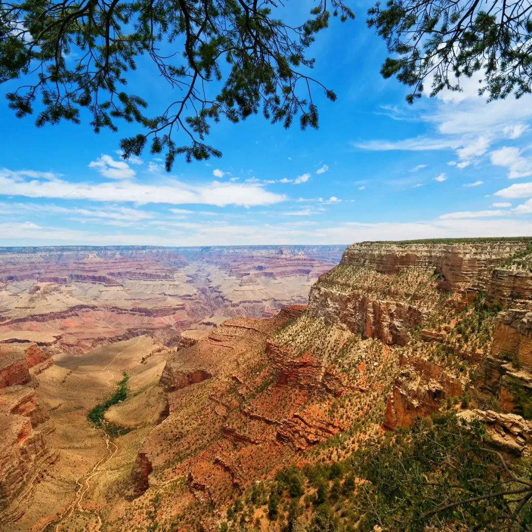 Grand Canyon-National Park's South Rim. Credit: Ji Rui