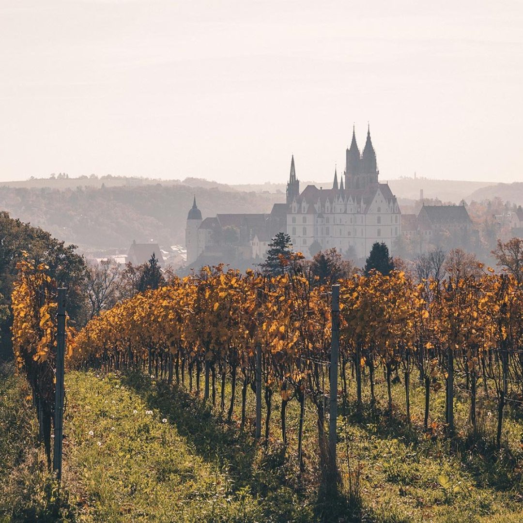 Just You has introduced a tour that incorporates the porcelain museum at Meissen in Saxony, Germany.