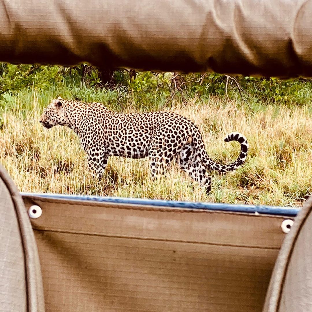 Kruger 1IMG-20201205-WA0002