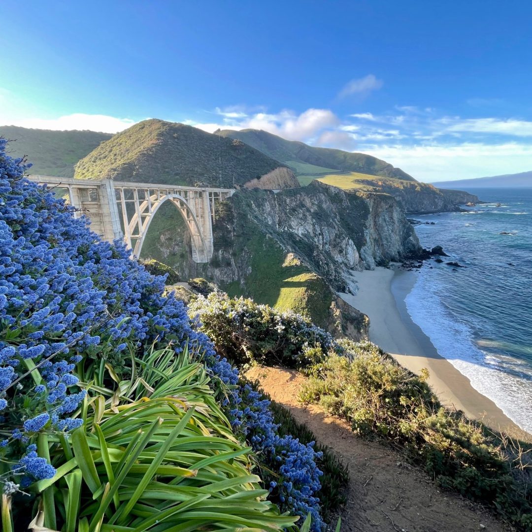 Landscape, Big Sur, California, Tamatha Frederick
