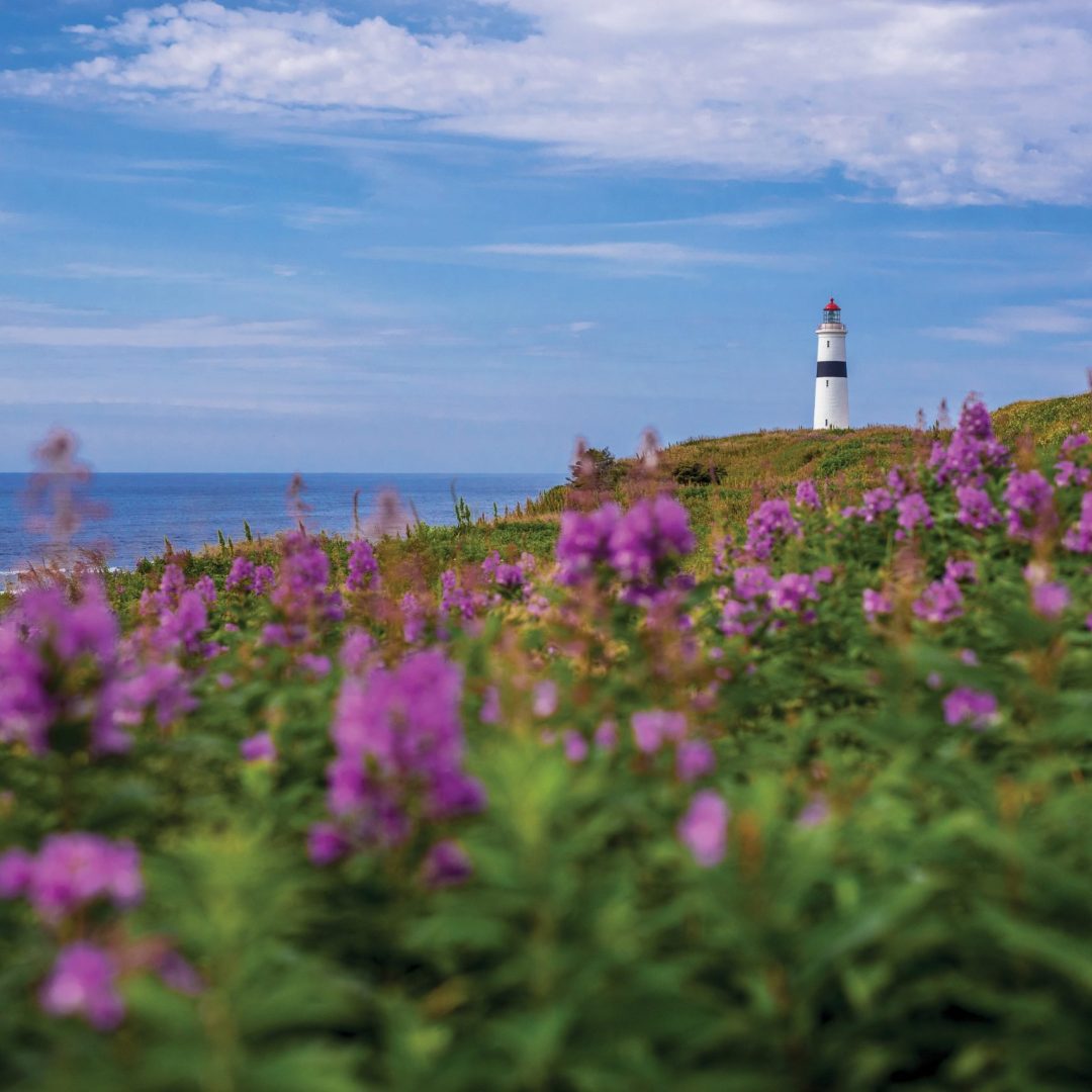 Lighthouse