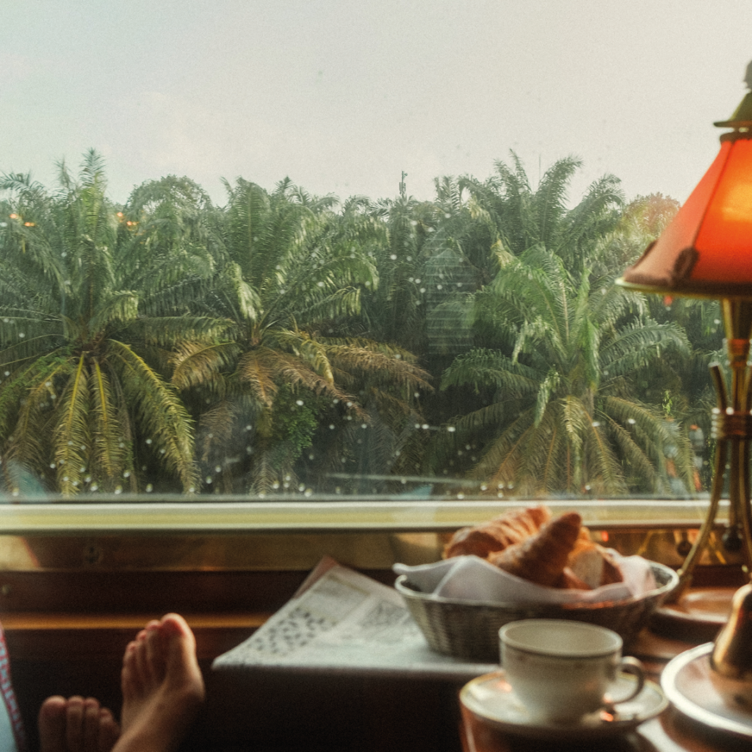 Watching the world go by from the comfort of a luxurious train cabin