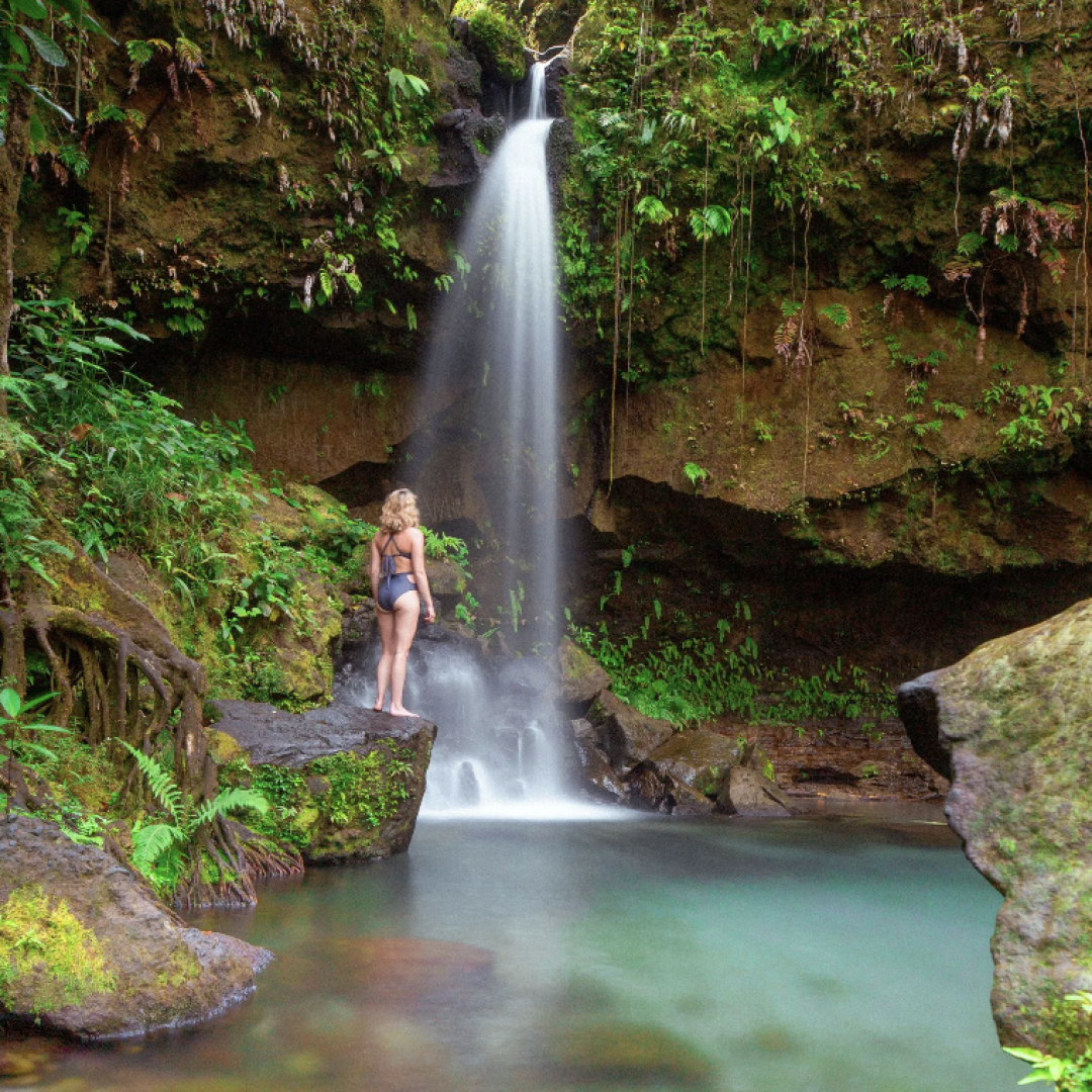 One of Dominica's many waterfalls. Credit: Scott Sporleder