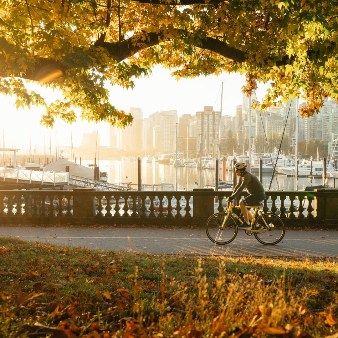 Seawall 2 VANCOUVER copy