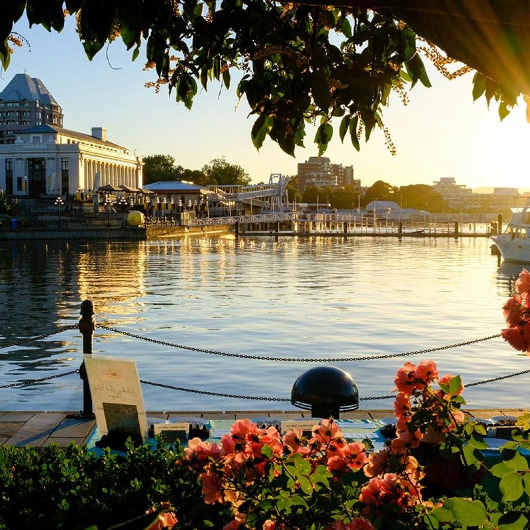 Sunlight on the water in Victoria, British Columbia.