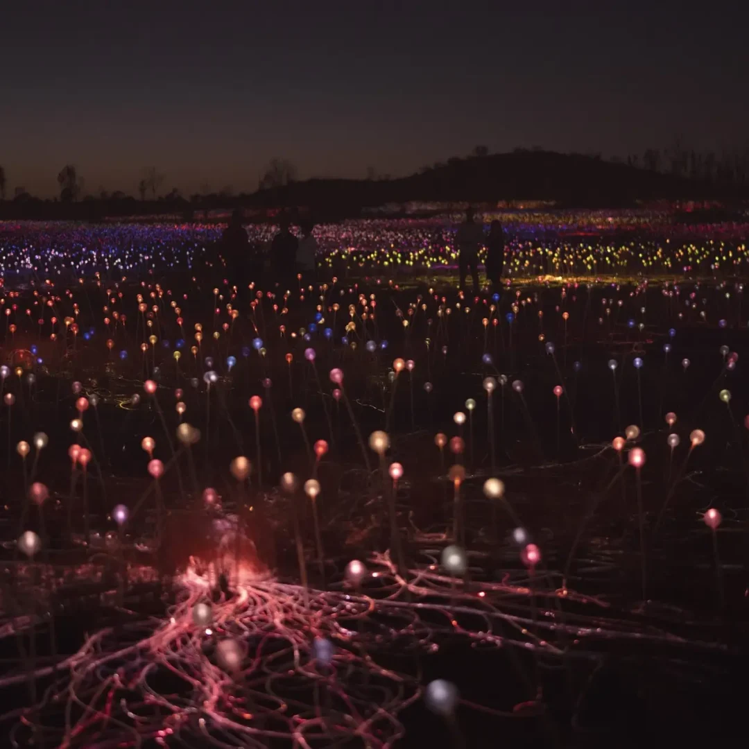 Field of Light is installed in a remote desert area within sight of Uluru. Guests enjoy the lights as the sun rises