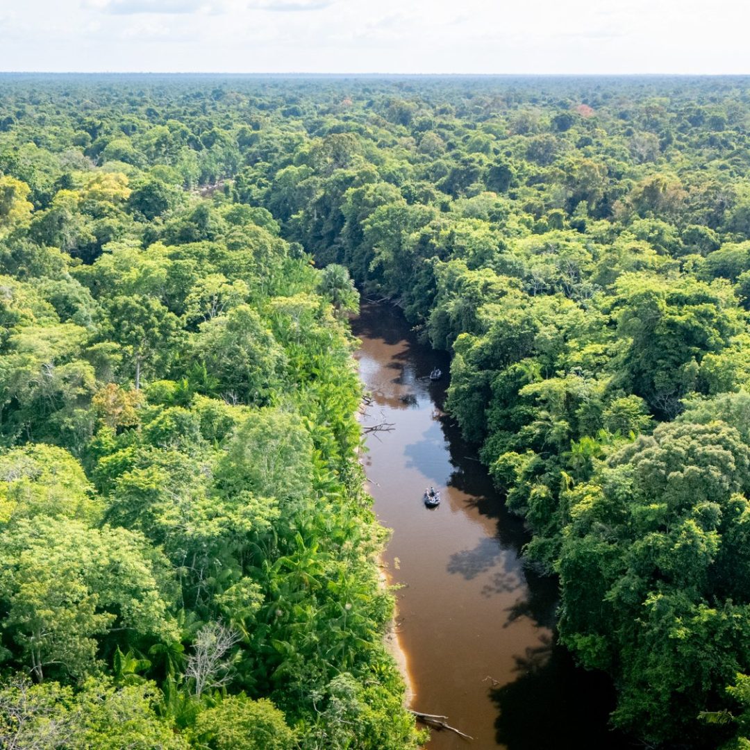 V292510129_21-10-2025_Rio Pocurui_Amazon_Brazil_Benn Berkeley_251